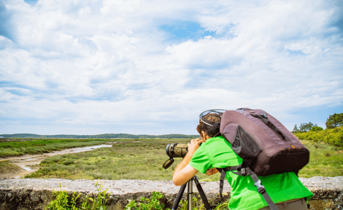 Découverte des Prés Salés d’Arès-Lège avec un guide nature - Pres sale guide nature - Bassin d'Arcachon