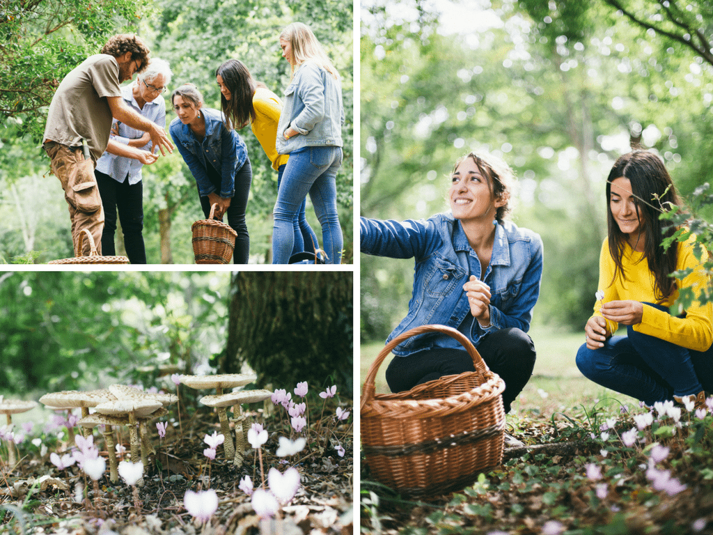 Week-end d’automne entre filles  - cueillette champignon bassin arcachon - Bassin d'Arcachon