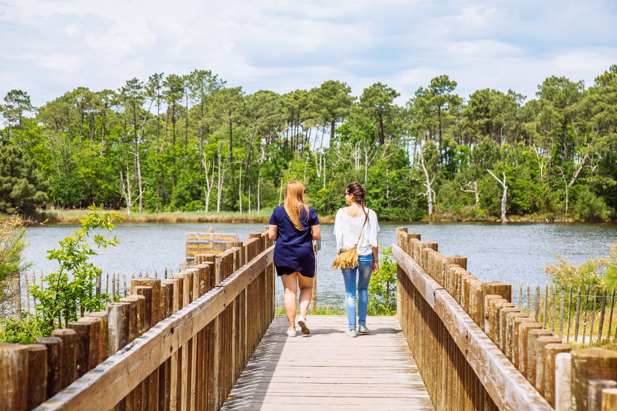 Balade dans le domaine de Saint Brice 