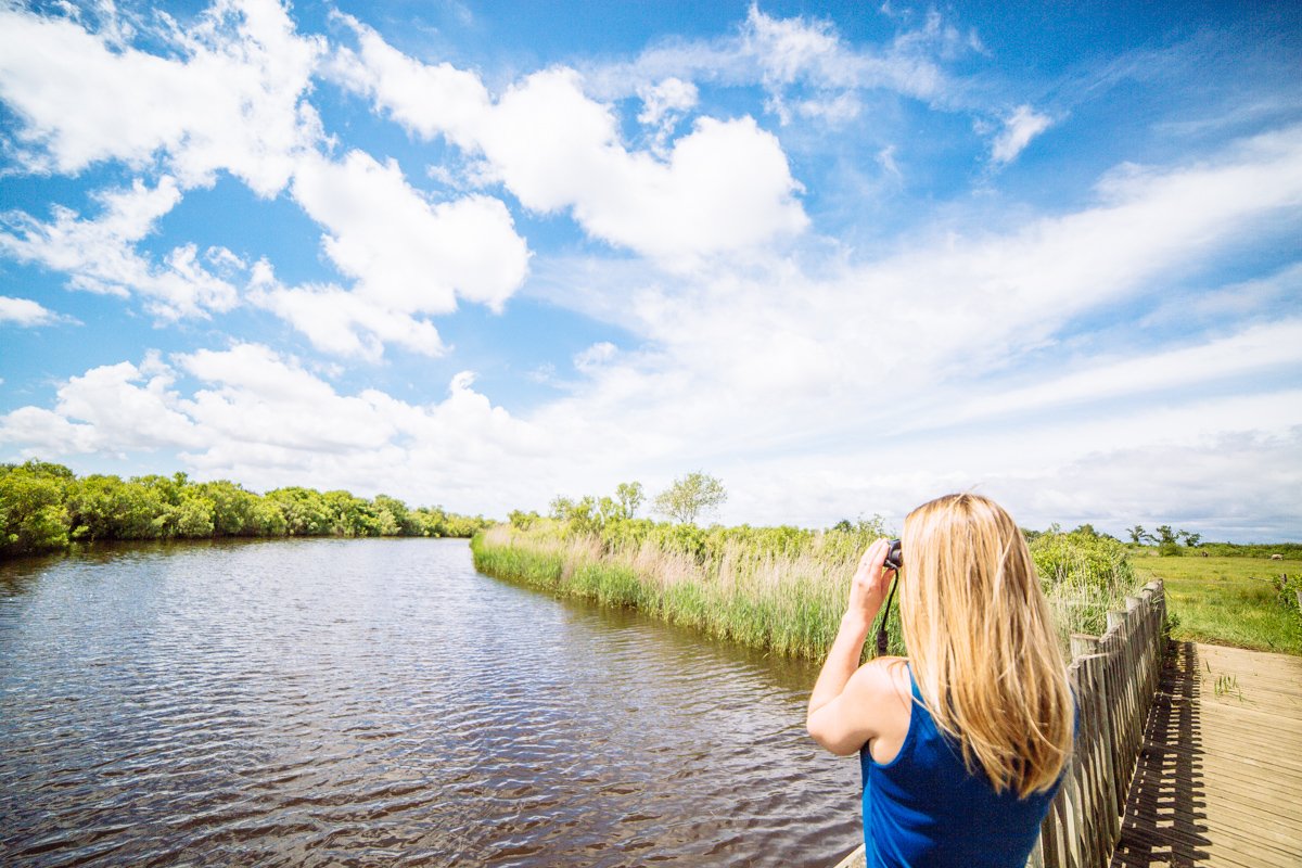 4 idées pour se reconnecter avec la nature - domaine de fleury 36 - Bassin d'Arcachon